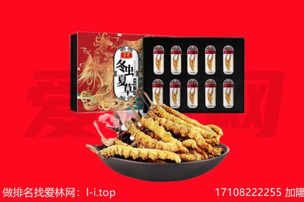 鸡西市回收虫草.jpg